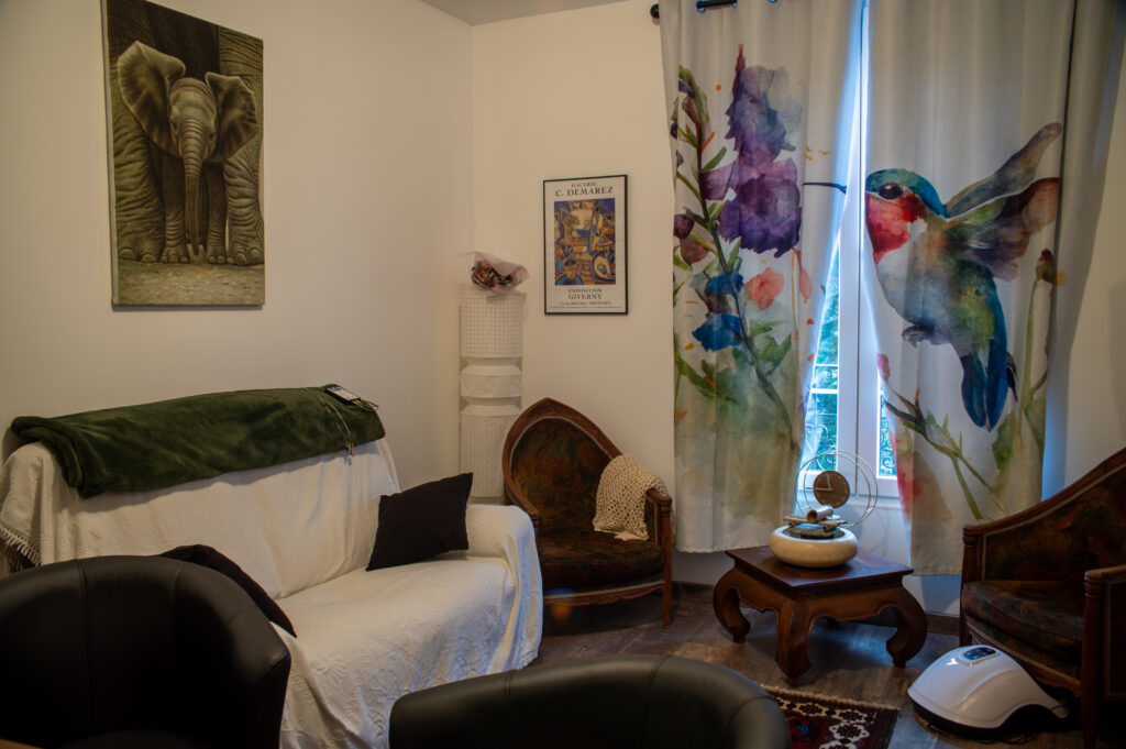 Le canapé, les fauteuils et les rideaux aux motifs d’oiseaux du cabinet de Péline